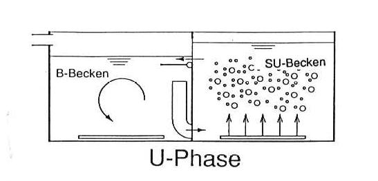 Umwälzphase