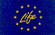 logo_life.jpg