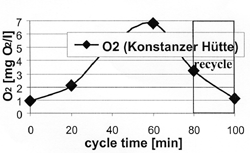 fig1c.gif