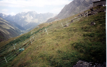 Taschach08